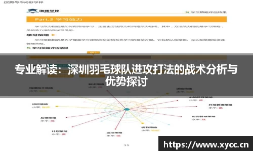 专业解读：深圳羽毛球队进攻打法的战术分析与优势探讨